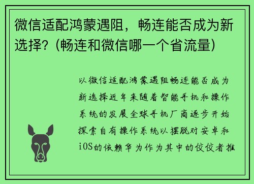 微信适配鸿蒙遇阻，畅连能否成为新选择？(畅连和微信哪一个省流量)